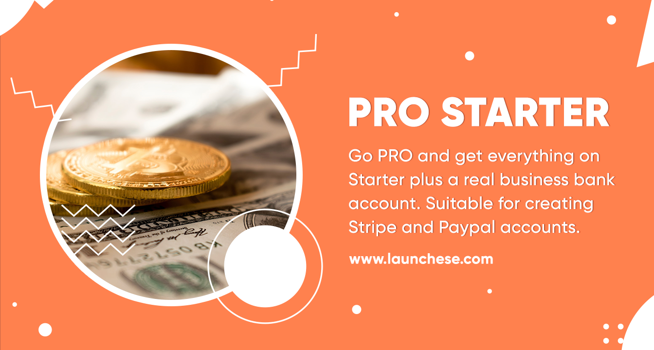 Pro Starting Launchese - Pro Starter : A Comprehensive Solution for Starting a ...