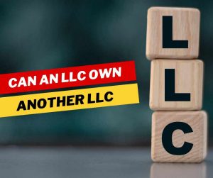 Can an LLC Own Another LLC
